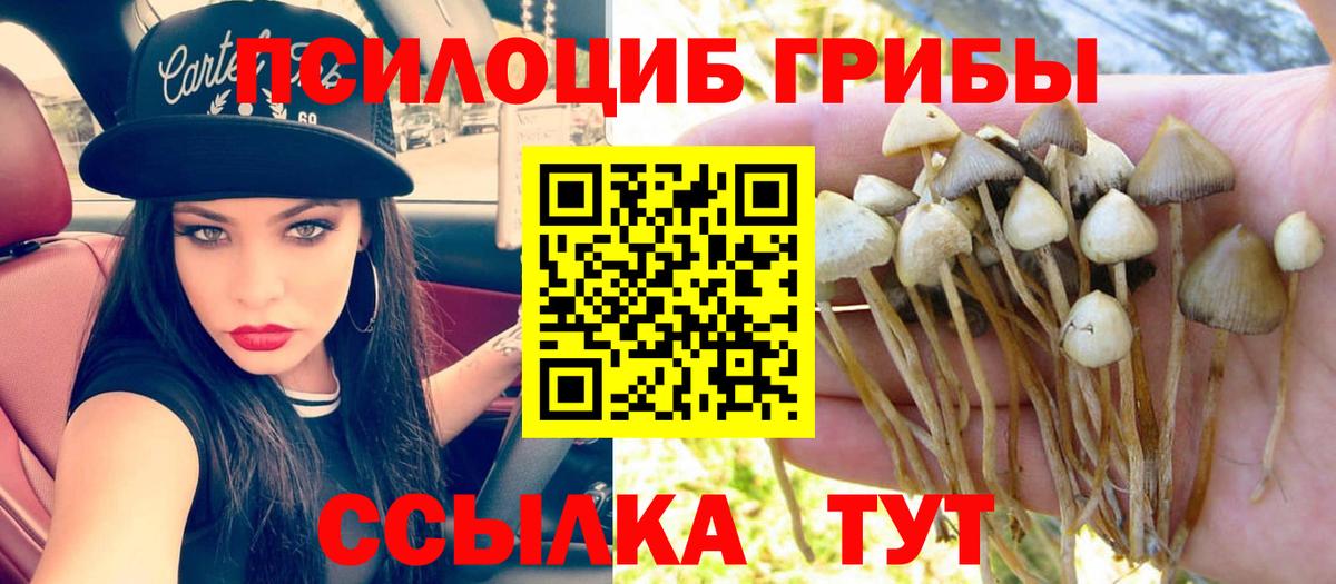 Кемерово  Галлюциногенные грибы GOLDEN TEACHER  Вход с VPN 